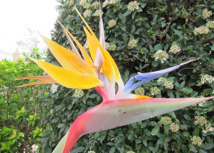 Reves D'ocean * Santa Bárbara de Nexe