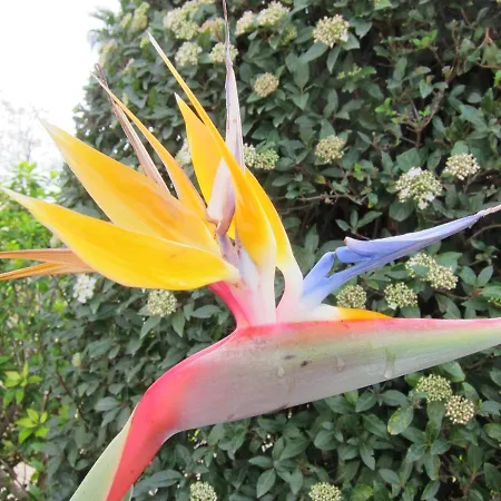 Rêves D'océan * Santa Bárbara de Nexe